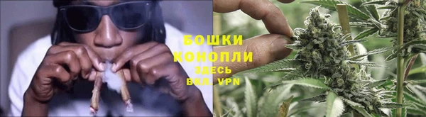 ГАЛЛЮЦИНОГЕННЫЕ ГРИБЫ Майский