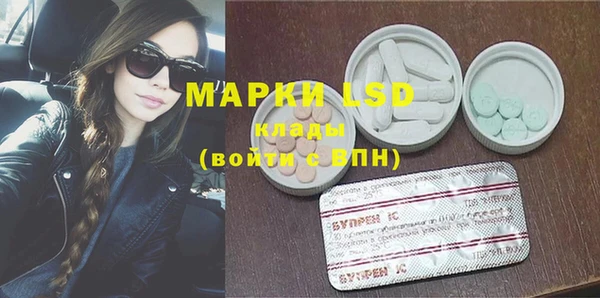 PSILOCYBIN Магас
