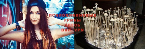 не бодяженный Мегион