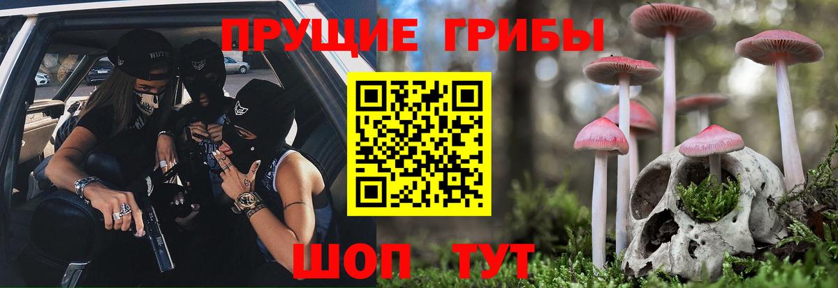 Псилоцибиновые грибы Cubensis Мичуринск